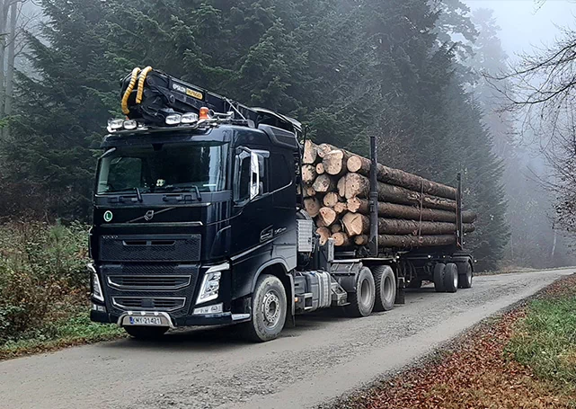Ciężarówka w lesie
