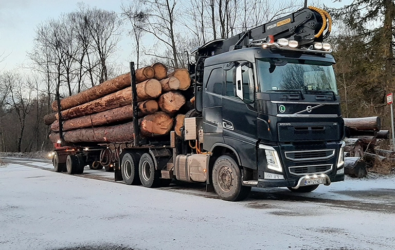 Ciężarówka z drewnem